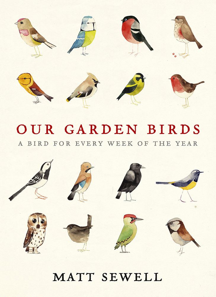 Our Garden Birds - By Matt Sewell