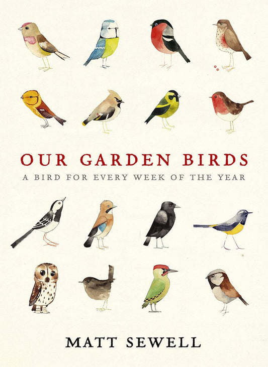 Our Garden Birds - By Matt Sewell