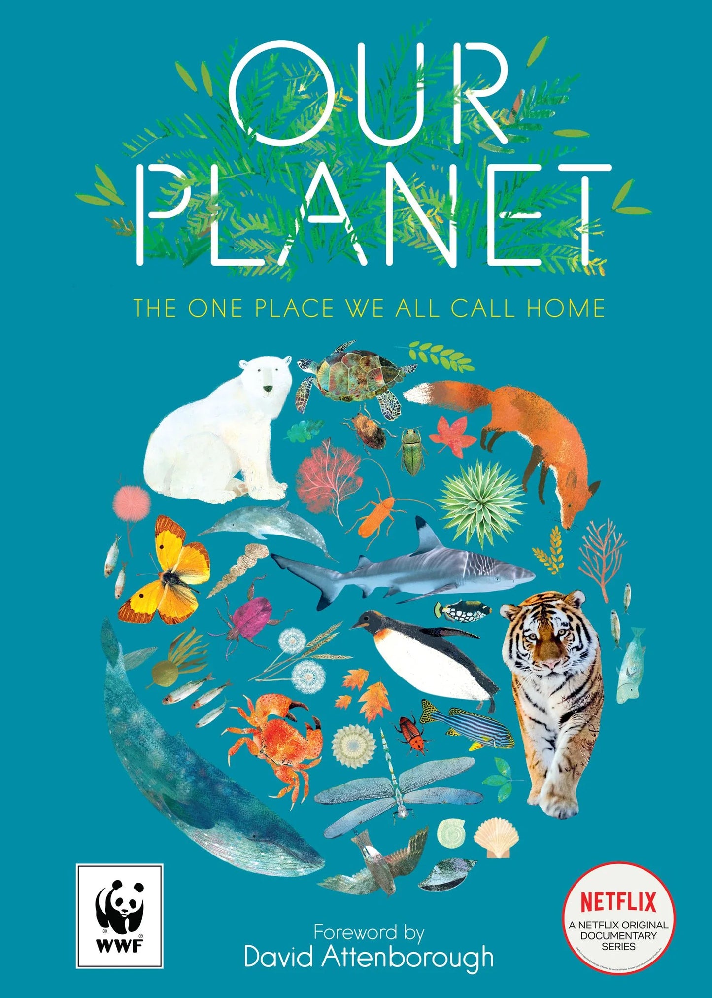 Our Planet: The One Place We All Call Home - Foreword By David Attenborough