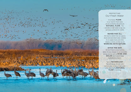 Our Planet: The One Place We All Call Home - Foreword By David Attenborough