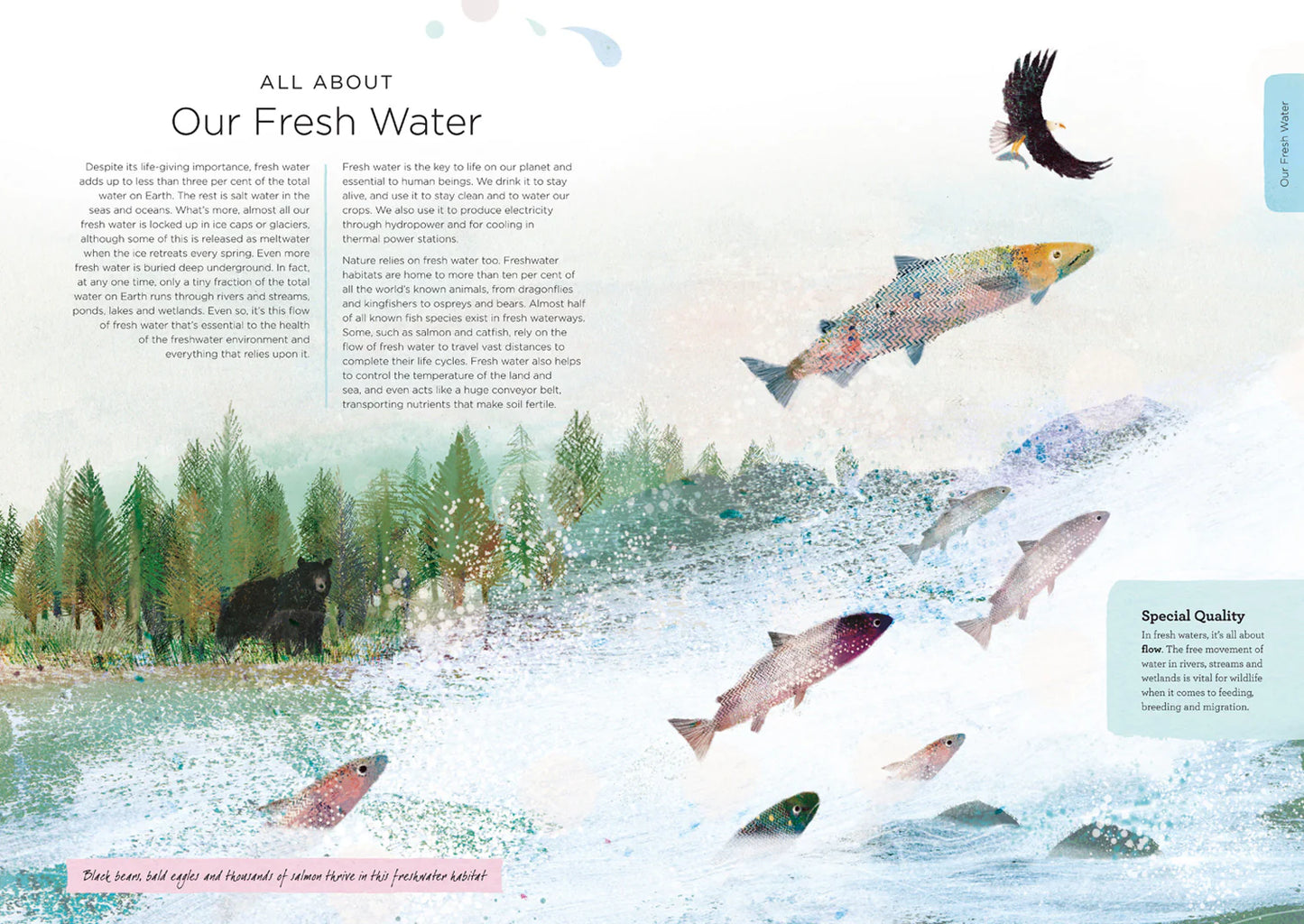 Our Planet: The One Place We All Call Home - Foreword By David Attenborough