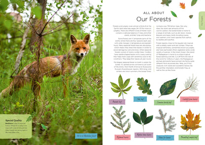 Our Planet: The One Place We All Call Home - Foreword By David Attenborough