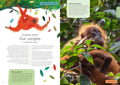 Our Planet: The One Place We All Call Home - Foreword By David Attenborough