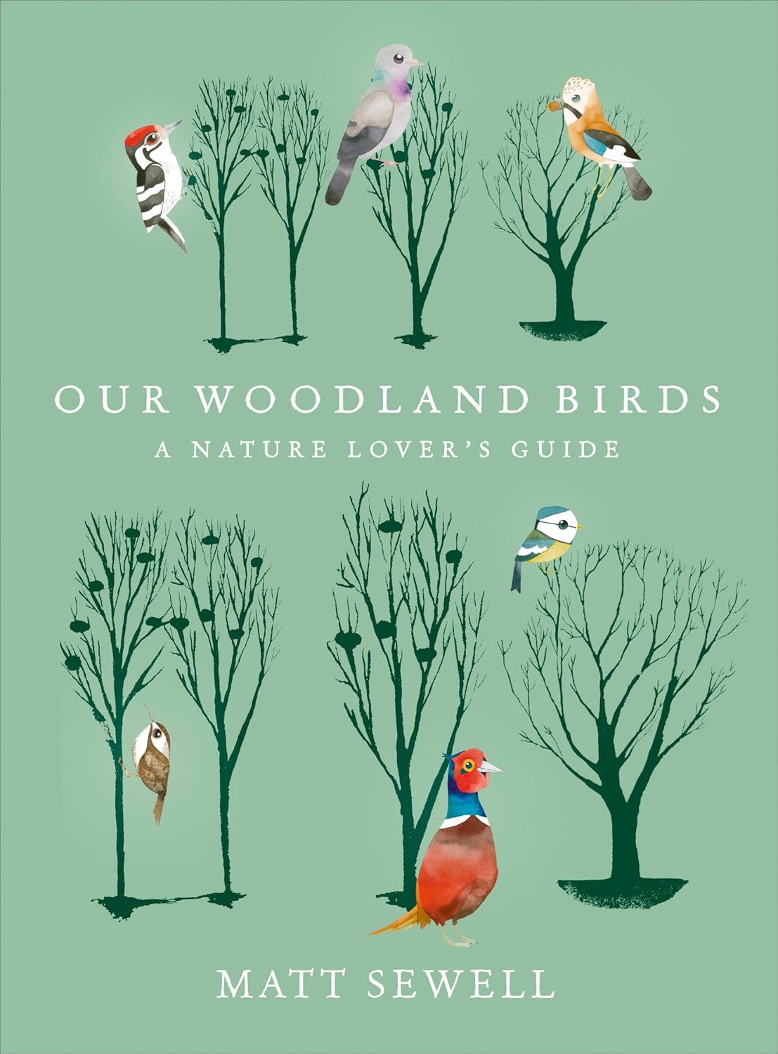 Our Woodland Birds - By Matt Sewell