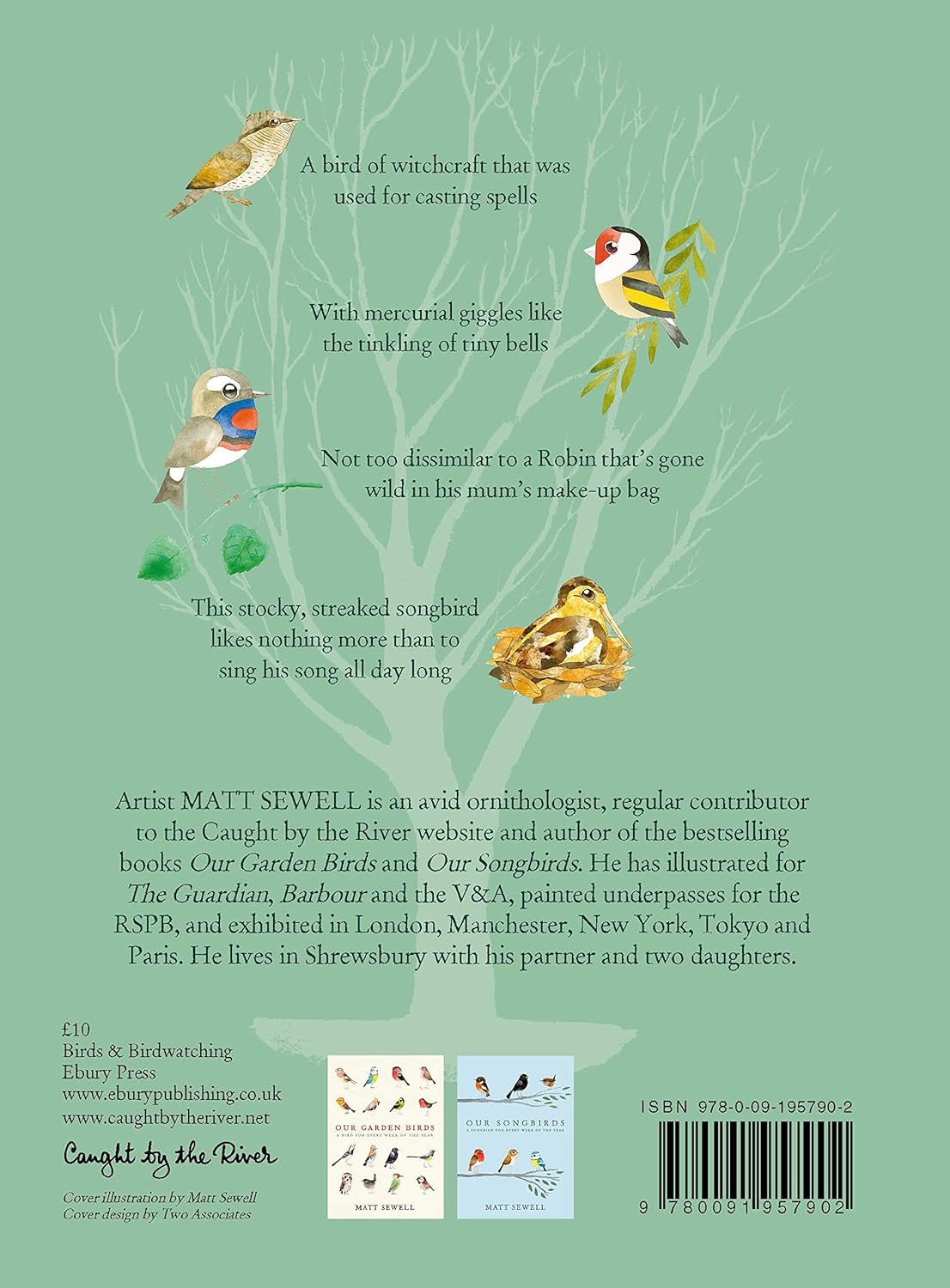Our Woodland Birds - By Matt Sewell