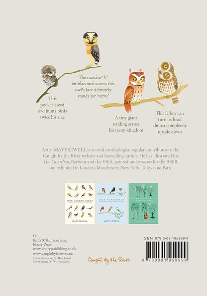 Owls - By Matt Sewell