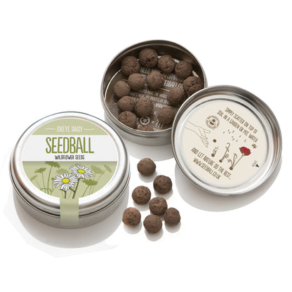 Wildflower Seedball Tin - Oxeye Daisy