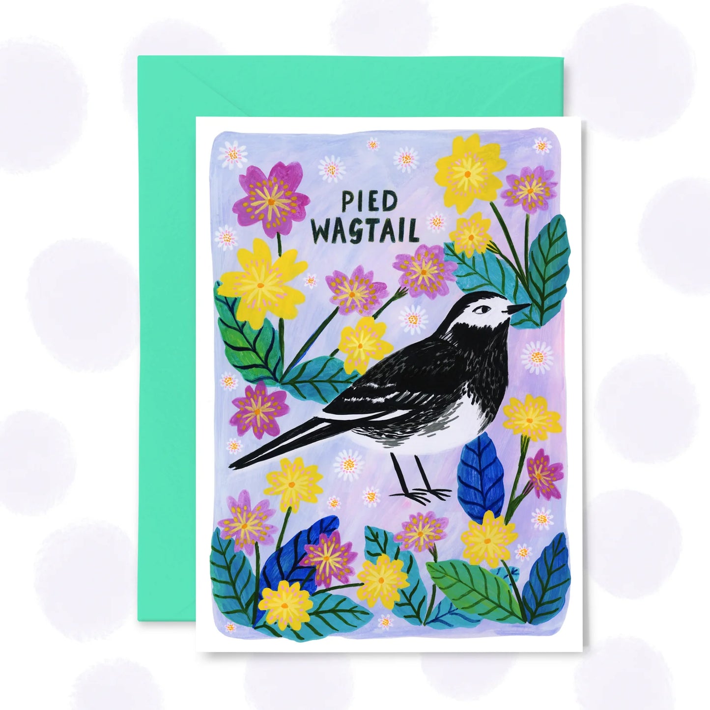 Pied Wagtail - Greetings Card