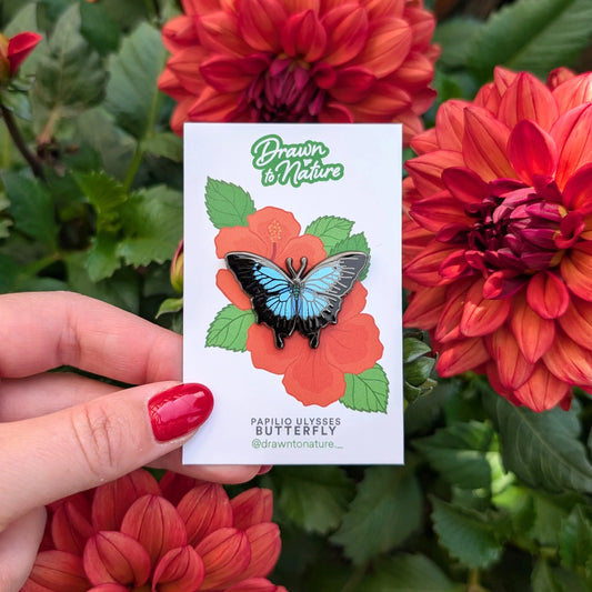 Ulysses Butterfly Enamel Pin