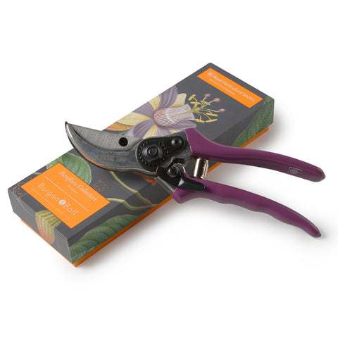 Passiflora Secateur with Gift Box