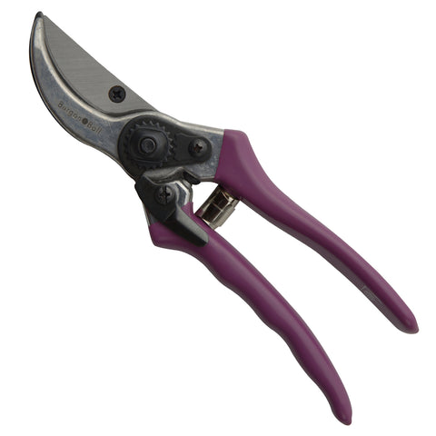 Passiflora Secateur with Gift Box