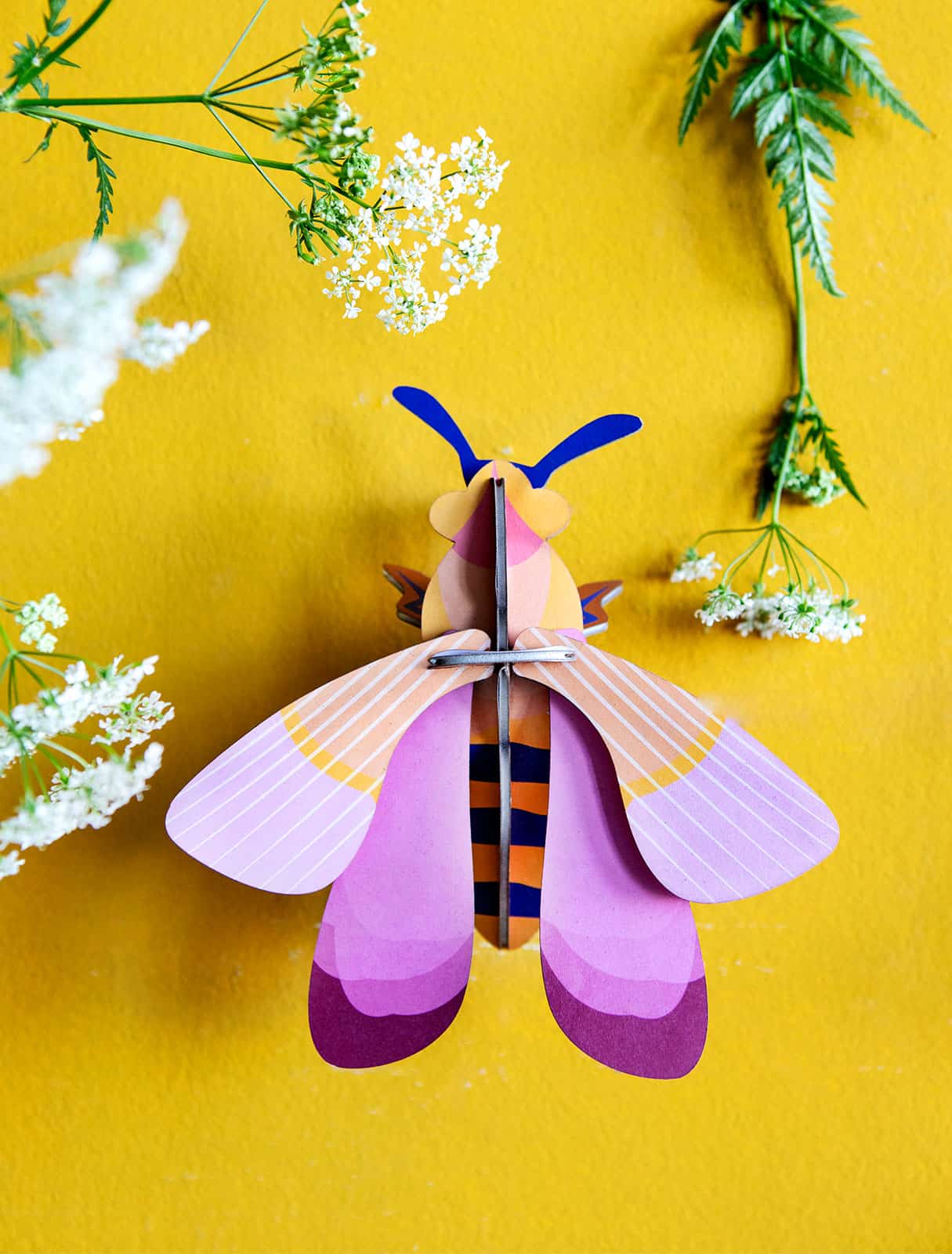 Pink Bee - StudioROOF