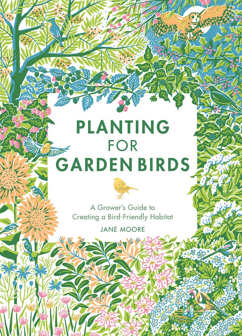 Planting for Garden Birds - By Jane Moore