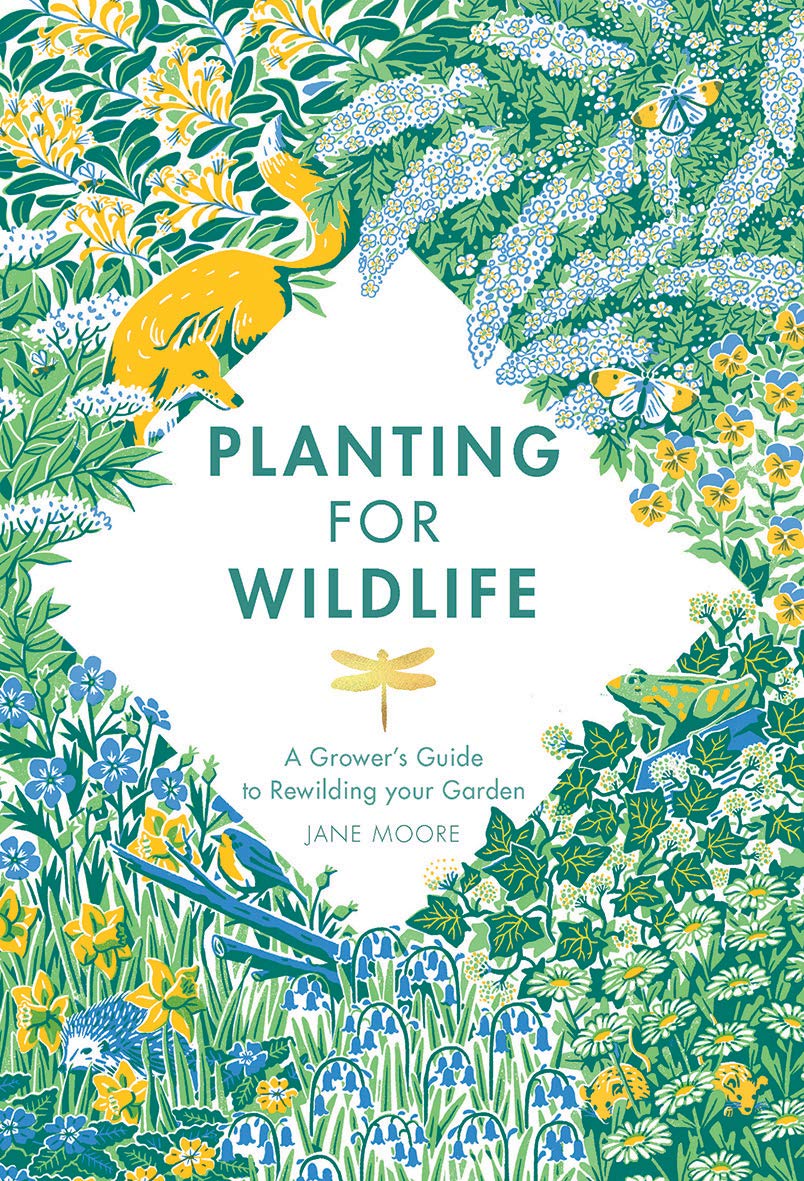 Planting for Wildlife - By Jane Moore
