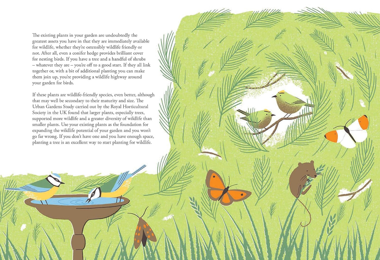 Planting for Wildlife - By Jane Moore