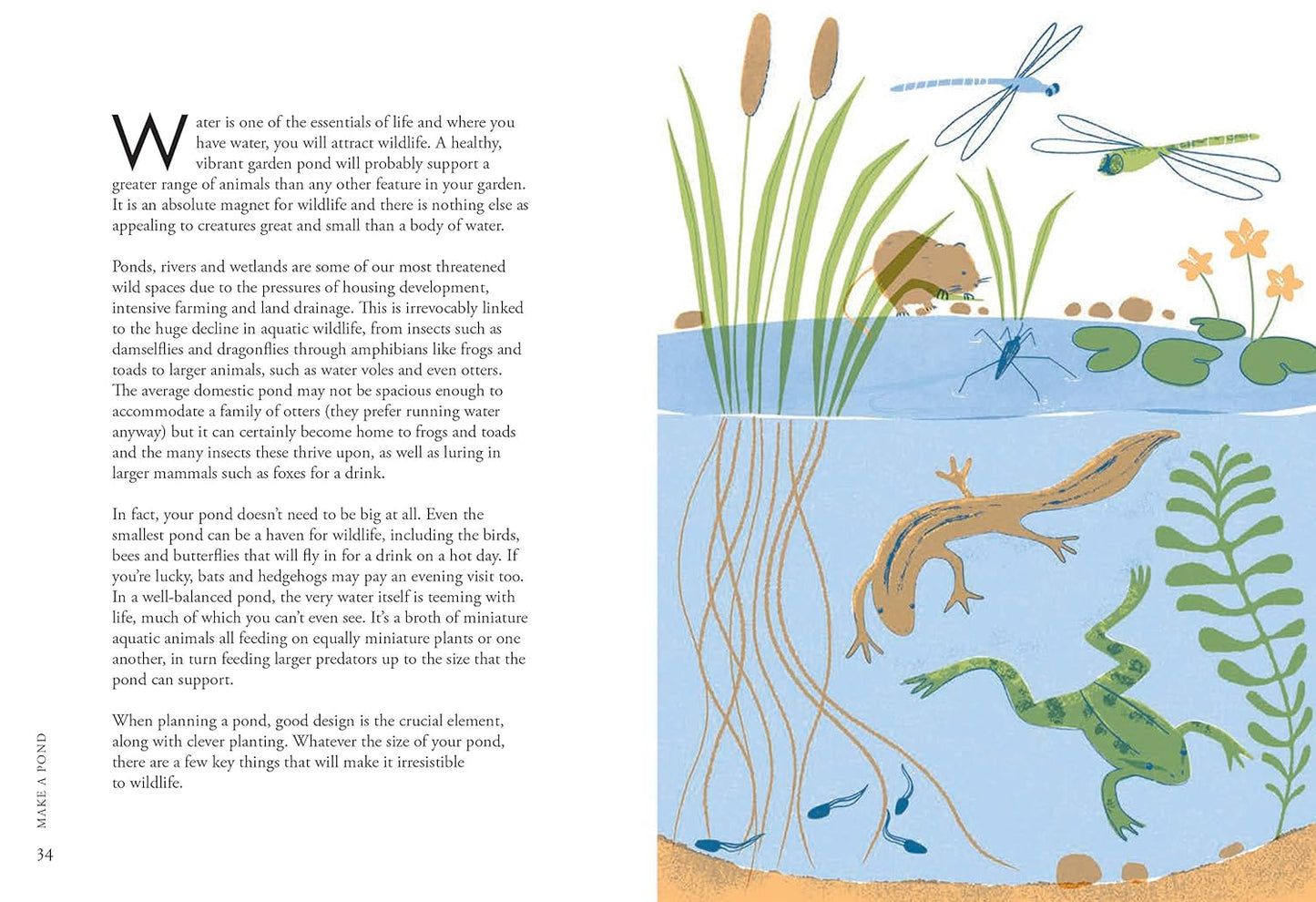 Planting for Wildlife - By Jane Moore