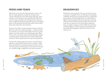 Planting for Wildlife - By Jane Moore