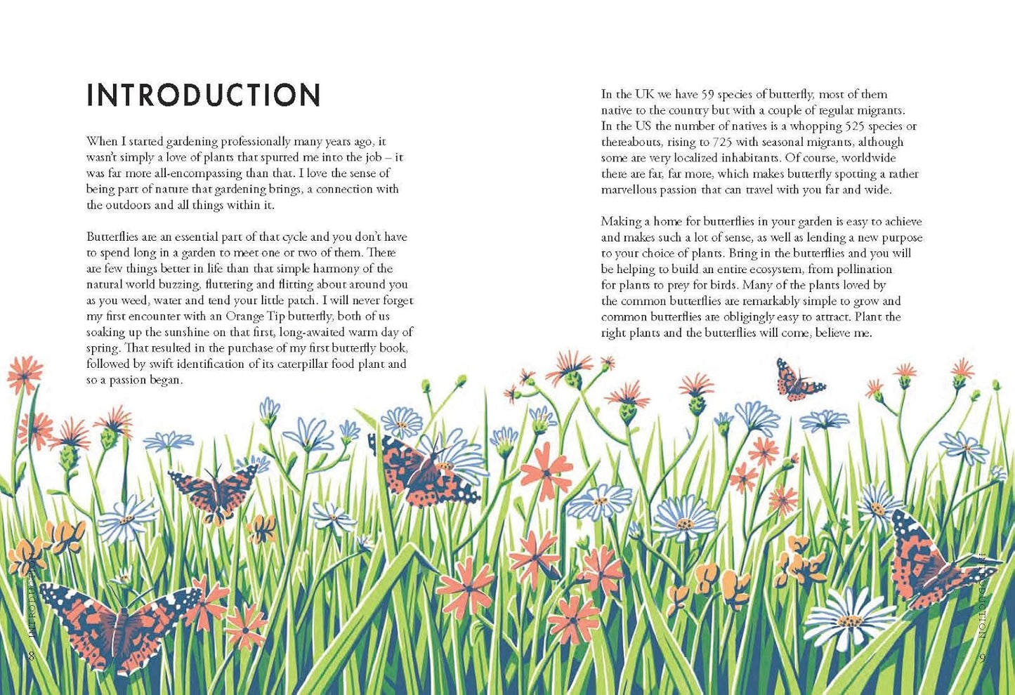 Planting for Butterflies - By Jane Moore