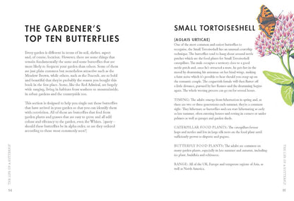 Planting for Butterflies - By Jane Moore