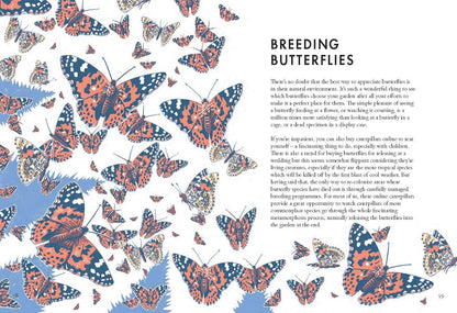 Planting for Butterflies - By Jane Moore