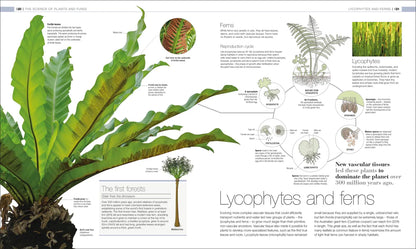Plants & Fungi - By DK