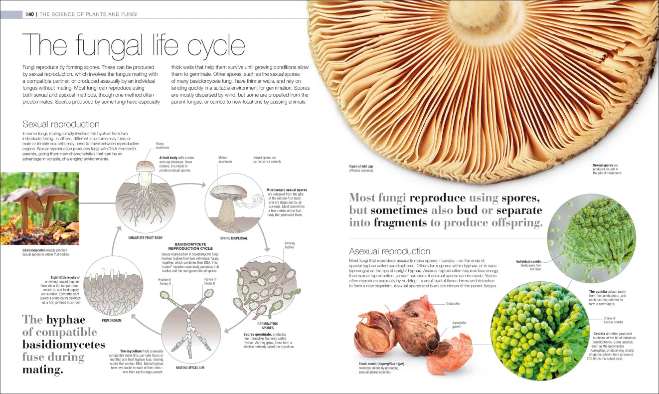Plants & Fungi - By DK