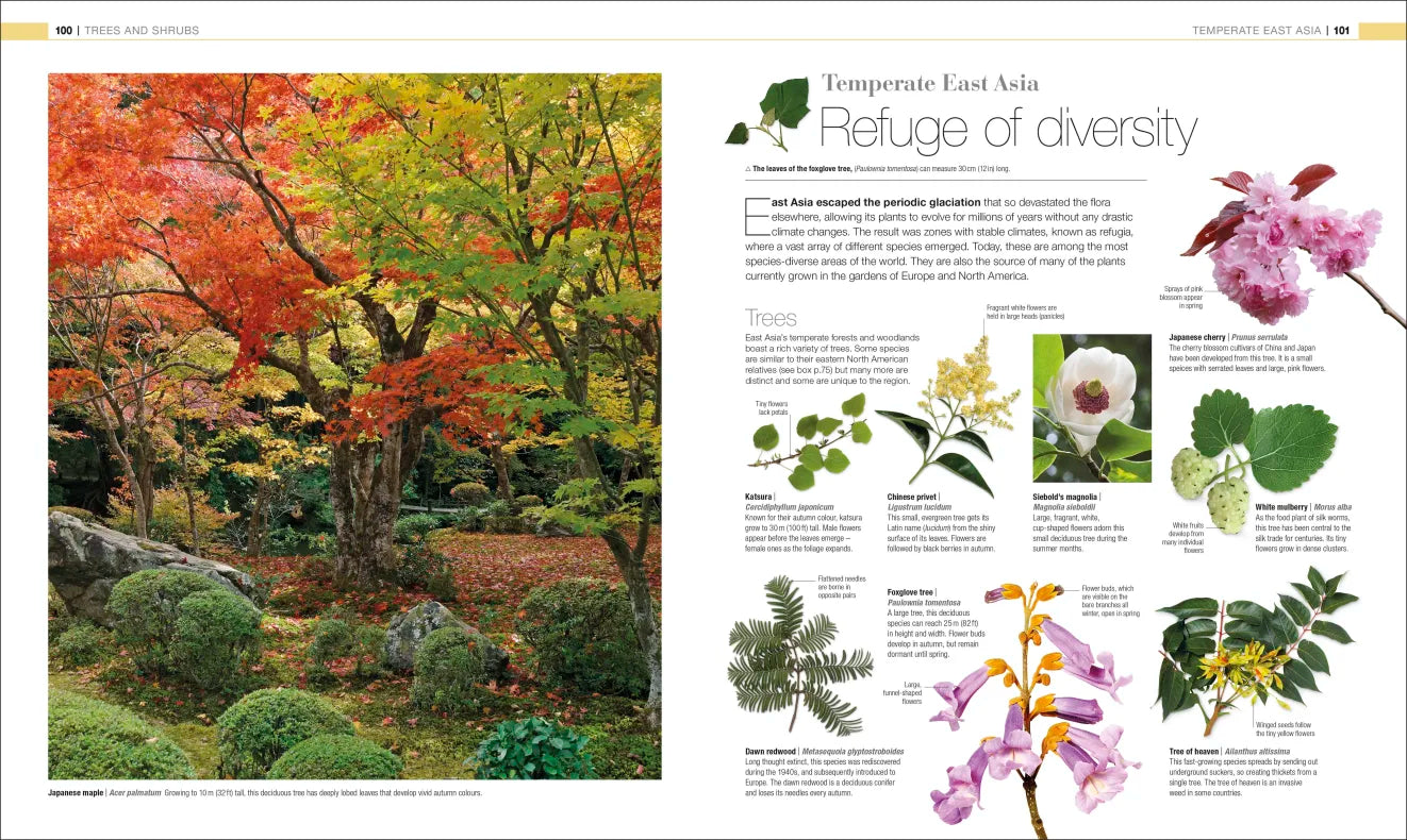 Plants & Fungi - By DK