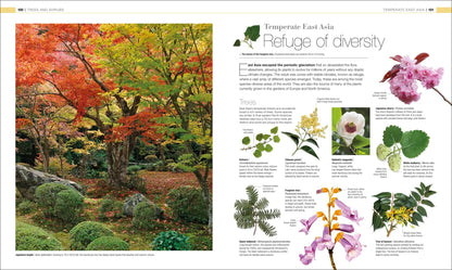 Plants & Fungi - By DK