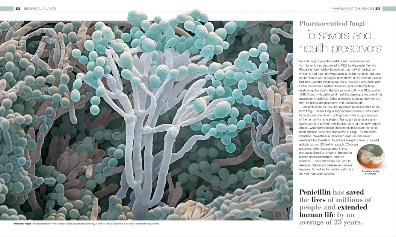 Plants & Fungi - By DK