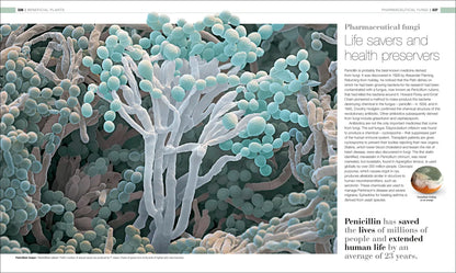 Plants & Fungi - By DK