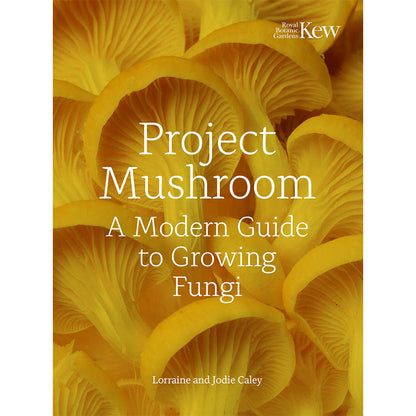 Project Mushroom - By Lorraine Caley