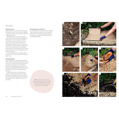 Project Mushroom - By Lorraine Caley