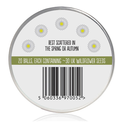 Wildflower Seedball Tin - Oxeye Daisy