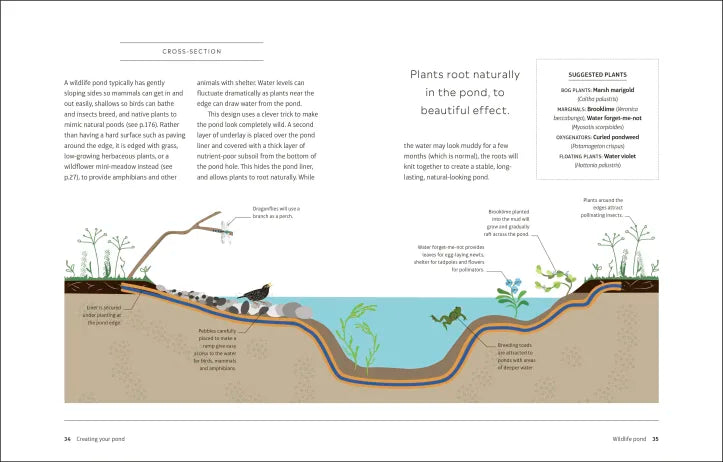 RHS How to Create a Wildlife Pond - By Kate Bradbury