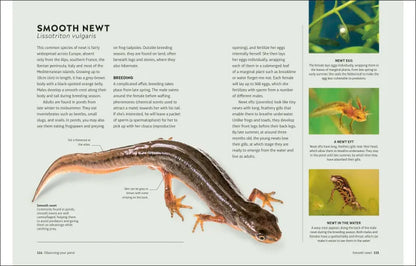 RHS How to Create a Wildlife Pond - By Kate Bradbury