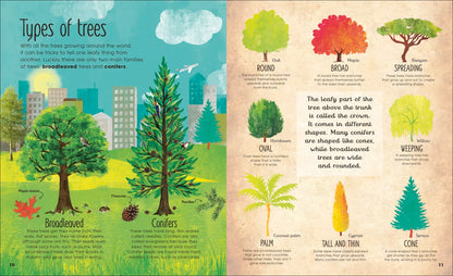 The Magic and Mystery of Trees - By The Royal Horticultural Society