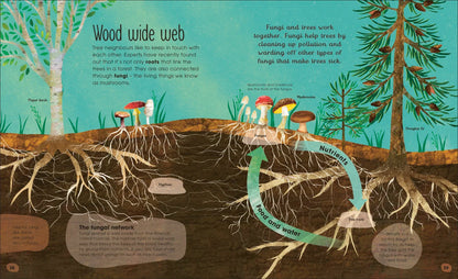 The Magic and Mystery of Trees - By The Royal Horticultural Society
