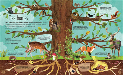 The Magic and Mystery of Trees - By The Royal Horticultural Society