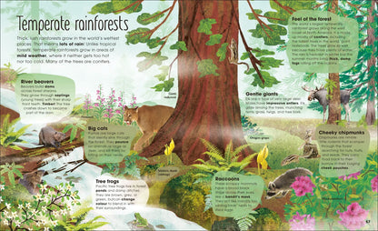 The Magic and Mystery of Trees - By The Royal Horticultural Society