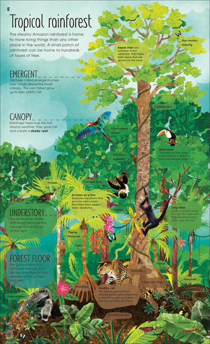 The Magic and Mystery of Trees - By The Royal Horticultural Society