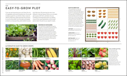 RHS Step-by-Step Veg Patch - By Lucy Chamberlain
