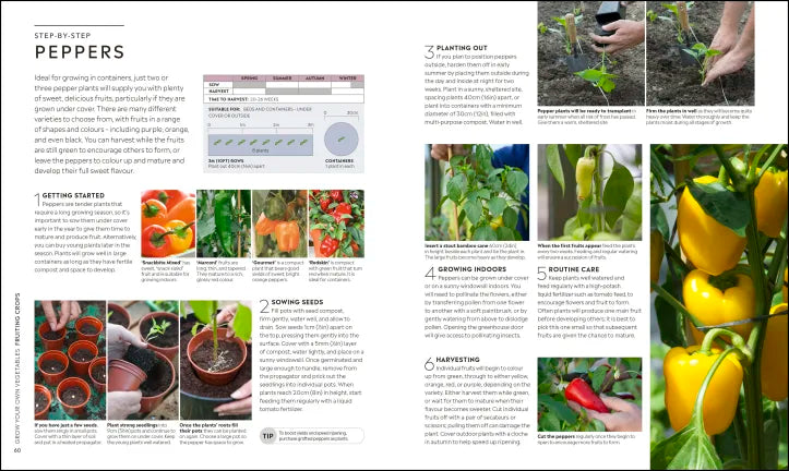 RHS Step-by-Step Veg Patch - By Lucy Chamberlain