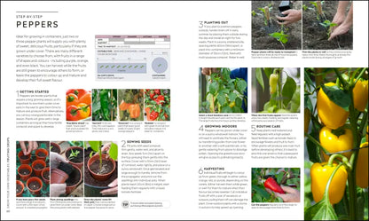 RHS Step-by-Step Veg Patch - By Lucy Chamberlain