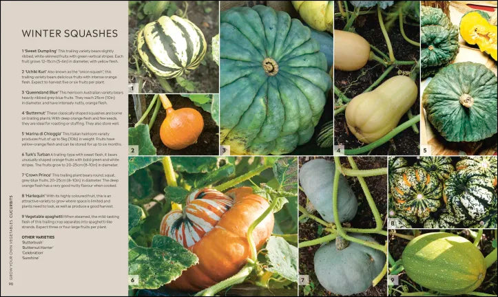 RHS Step-by-Step Veg Patch - By Lucy Chamberlain