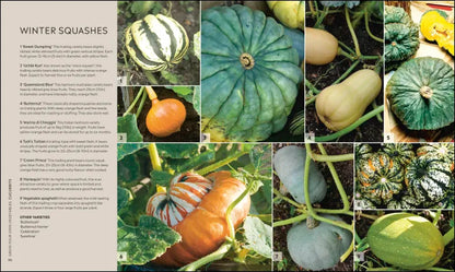 RHS Step-by-Step Veg Patch - By Lucy Chamberlain