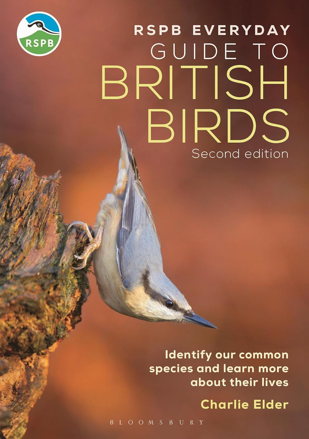 RSPB Everyday Guide to British Birds - By Charlie Elder