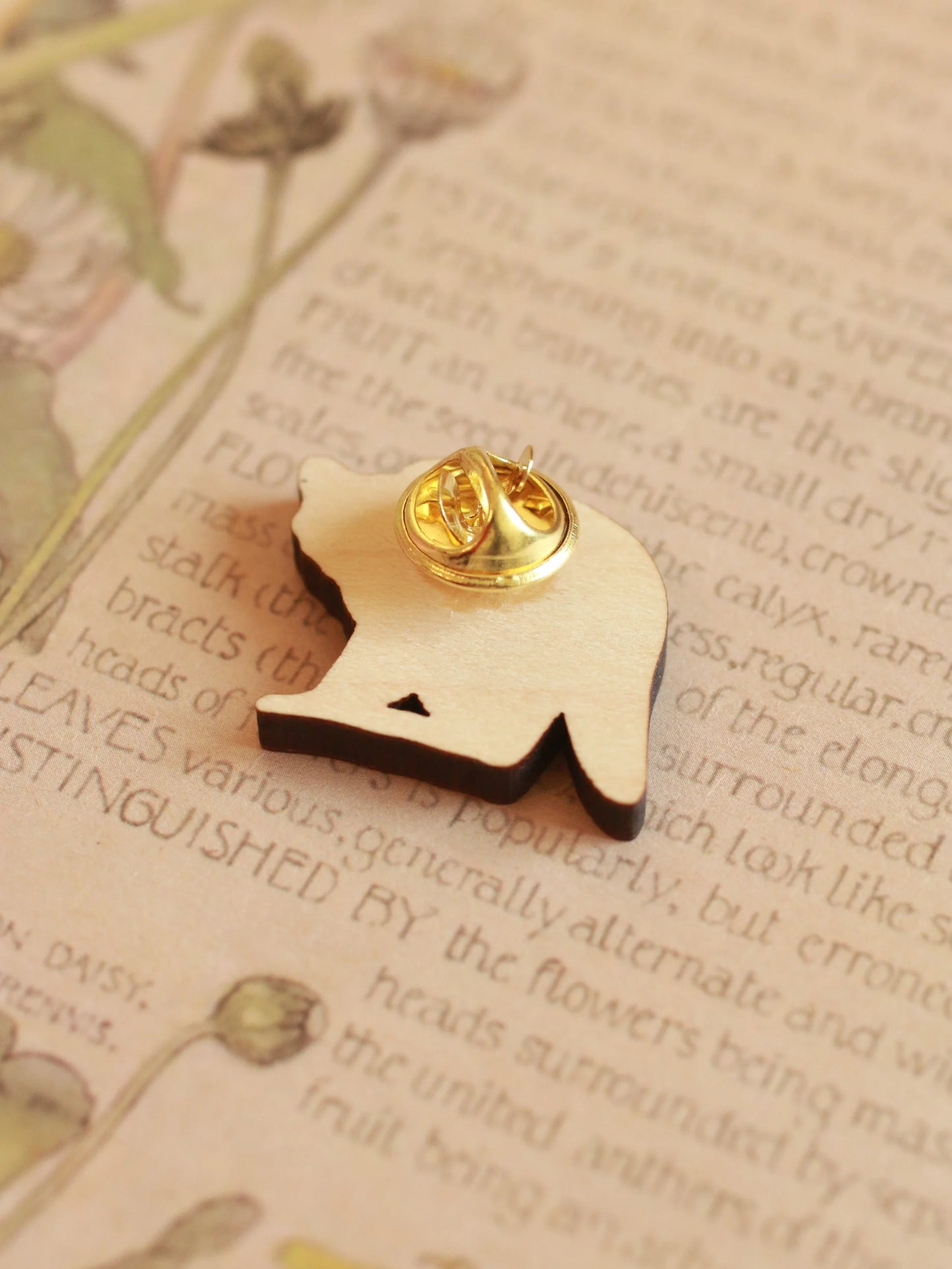 Racoon Pin