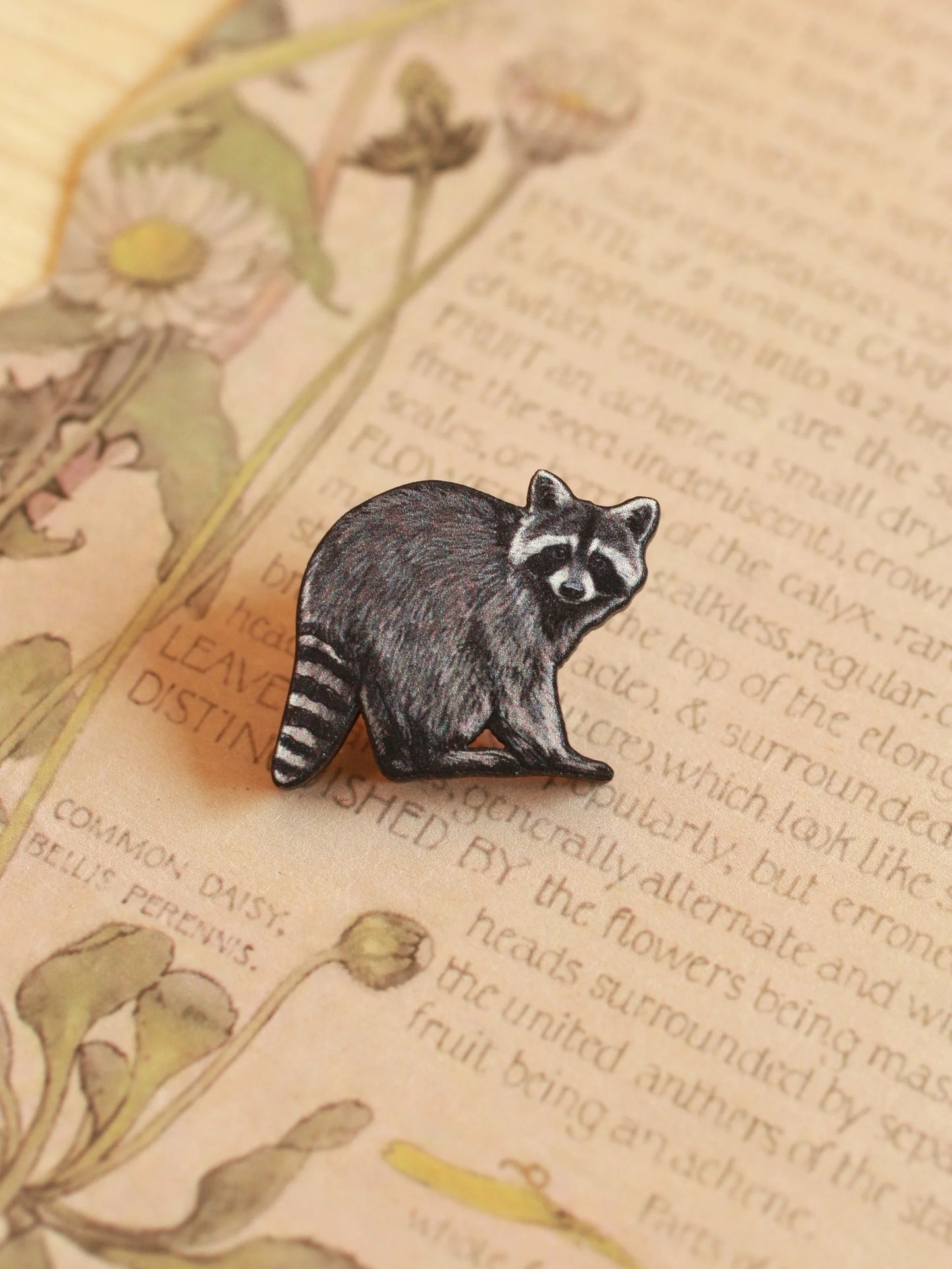 Racoon Pin