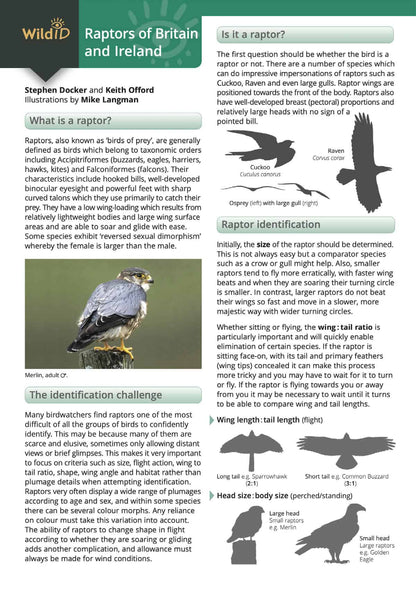 Raptors - Wild ID Guide