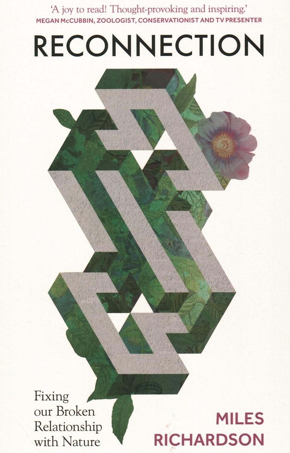Reconnection - By Miles Richardson